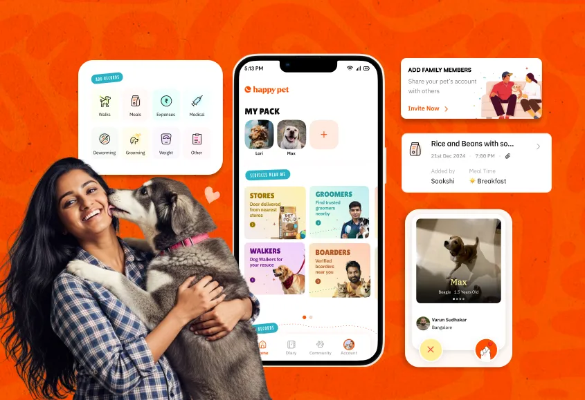 Representation of a pet parent and a dog